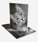 Cat Rag - Piano Language